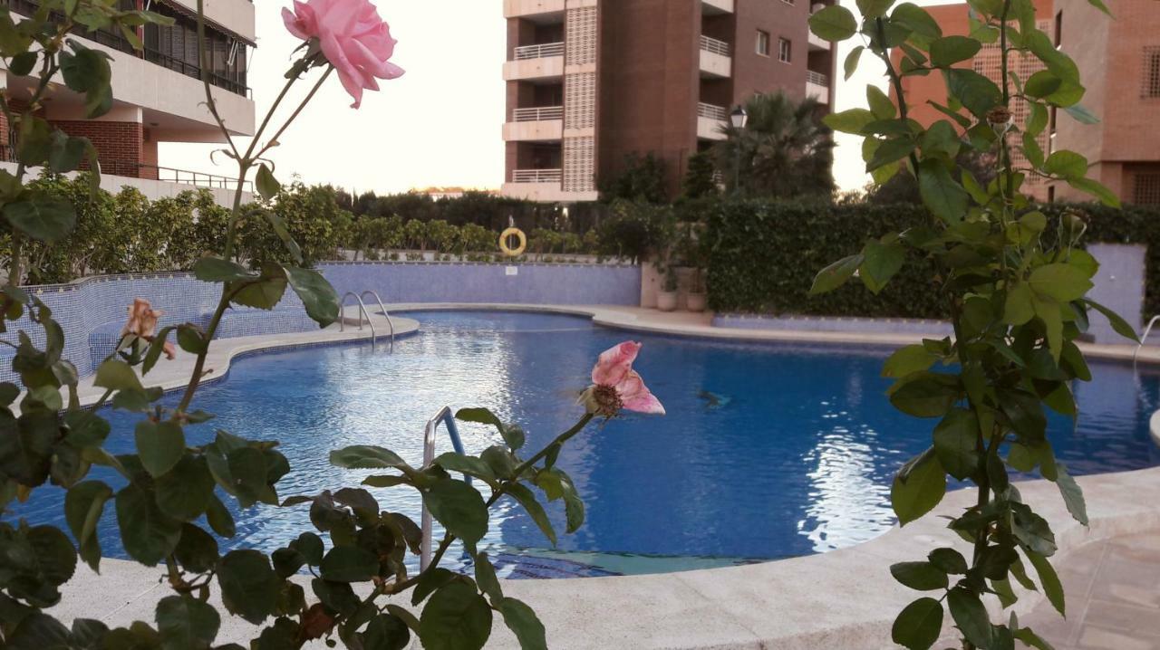 Appartement Trisol Seaviews à Benidorm Extérieur photo